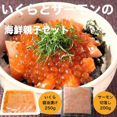 【送料無料】いくらとサーモンの海鮮セット いくら醤油漬け 250ｇ サーモン切落し200ｇ 生食用 刺身 海鮮丼【海鮮親子セット】