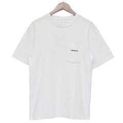 Patagonia　パタゴニア　P-6 LOGO POCKET RESPONSIBILI-TEE　ポケットTシャツ　39178　8054000173259