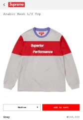 【Supreme】★Arabic Mesh L/S Top Grey - 25SS★大人気★ Supreme Arabic Mesh L S Top (SS25) - $88