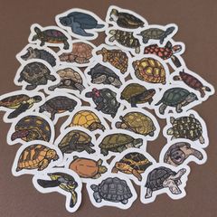 【商品番号S13 】　亀のフレークシール　爬虫類　カメ　　シール　リクガメ　ウミガメ