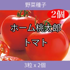 野菜種子 TVK09 ホーム桃太郎トマト 3粒 x 2個