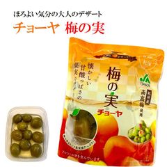 ナツメ苗木スーパージャイアント実が付き花粉症に効く受粉樹不要超大玉