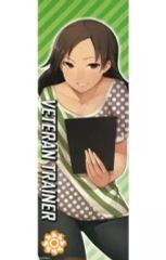 [중고] 동인 포스터·태피스트리·캘린더계 [아이돌 마스터] 스틱 포스터 베테랑 트레이너(Hitoto) MyBestFriends5/도산제