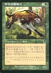 【中古】マジックザギャザリング 283/350[C]：【ODY】野生の雑種犬/Wild Mongrel