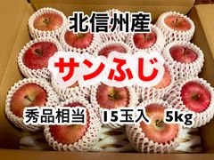 長野県産　りんご　サンふじ　秀品相当　15玉入　5kg