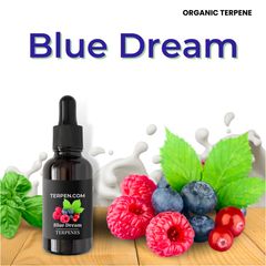 テルペン TRUE テルペンフレーバー ブルーベリーバナナパンケーキ 10ml
