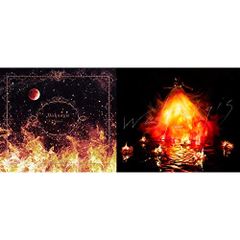 レア盤 Aimer Walpurgis 2LP レコード 限定盤 - メルカリ