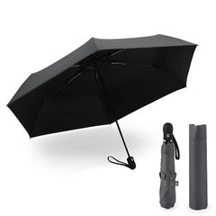 Item thumbnail for item 81cf0d74-9199-4e9f-baab-91c63c33e5e8