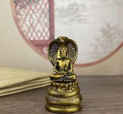 銅製 菩薩蛇王 鎮宅 辟邪 招財 開運 風水 工芸品 置物 銅製 菩薩蛇王 鎮宅 辟邪 招財 開運 風水 工芸品 置物 - メルカリ