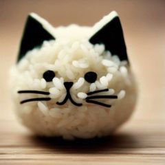 みん姉様 専用ページ 猫 首輪 ハンドメイド - お結び屋さんʕ•̫͡