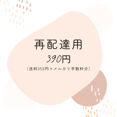 再配達用送料　390円