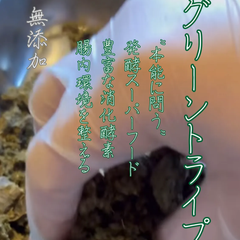 グリーントライプ（鹿）