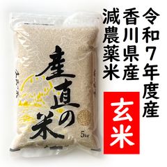 長期保存可能な真空パック 米とぎ不用な無洗米・令和7年産 新潟新之助
