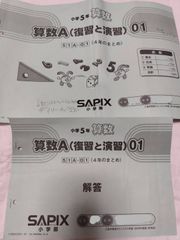 ★大人気中学受験SAPIX サピックス５年算数A（復習と演習）１年分解答付！