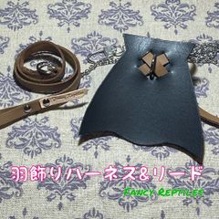 フトアゴヒゲトカゲ用羽飾りハーネス&リード マント
