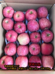 【わけあり品】青森県産りんご「CA冷蔵　有袋ふじ」加工・ジュース用 10kg以上【常温配送】