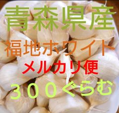 メルカリ便　中粒　300ぐらむ　にんにく　青森産　ニンニク　ばら　福地ホワイト　青森にんにく直売所のサムネイル