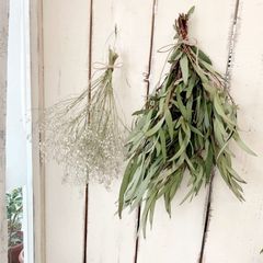 ドライフラワースワッグかすみ草とユーカリのセット