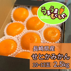 【期間限定品】長崎県産　岩本果樹園せとかみかん　2.5kg（10～12玉） 麗紅　せとかみかん　せとか　高級柑橘　みかん