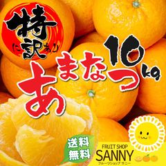 みかん 愛媛県産 特に訳あり 甘夏 箱込10.5kg 疲れた体に染み渡るビタミンＣクエン酸ビタミンＢ１もたっぷり今が旬！