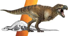 PNSO 恐竜博物館 1/35 サイズ ティラノサウルス T-REX 恐竜 リアル フィギュア PVC プラモデル おもちゃ 模型 恐竜好き 誕生日 プレゼント オリジナル 科学 芸術 塗装済 完成品