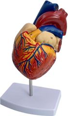 Item thumbnail for item 9c28a38a-2670-4ea5-b8b0-82ef0a43694c