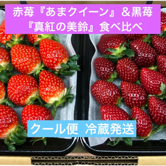 いちご 苺 イチゴ 食べ比べ あまクイーン 黒苺 真紅の美鈴 新鮮 減農薬