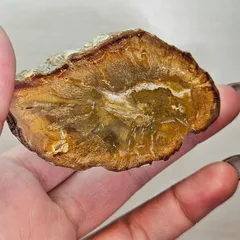 ⭐︎天然石　珪化木　ピンク系　スライス 71AfuKvyN-L._AC_UF350,