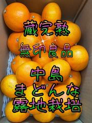 【貯蔵完熟】中島まどんな　無印良品