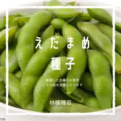 T9　家庭菜園でおすすめ品種　枝豆　えだまめ　エダマメ　大豆　固定種　野菜の種　貴重な累代自家採種！ここが他とは違います！