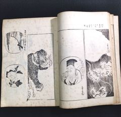尾形光琳 絵入◆光琳百図◆上 琳派 画譜 手手本 絵本 図案 文様 草花 江戸-明治 時代物 浮世絵 UKIYOE 木版画 骨董 古美術 古典籍 古文書 古書#和本～江戸屋～