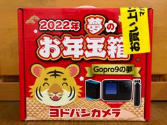 【即日発送】ヨドバシ 夢のお年玉箱 GoPro9の夢