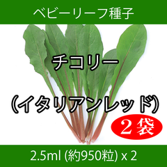 ベビーリーフ種子 B-13 チコリー（イタリアンレッド） 2.5ml x 2袋