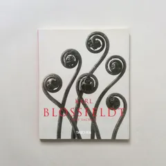 未使用　Karl Blossfeldt  植物画　ボタニカルアート　カールブロス Karl Blossfeldt: The Alphabet of Plants | カール・ブロス