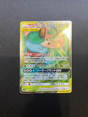 ポケモンカード　フシギバナ&ツタージャGX RR 001/064 sm11a #10268