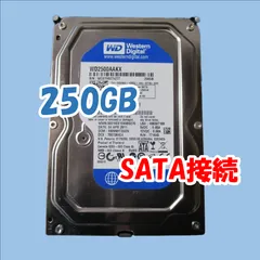 2024年最新】250GB HDD 3.5インチの人気アイテム - メルカリ