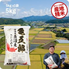 米 亀五郎さんのコシヒカリ5kg お米 令和5年産 白米