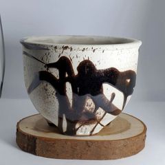 left botanical レフトボタニカル 垂れ鉢 大 アガベ 陶器鉢 - メルカリ