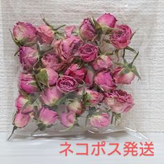 大地農園 ミニバラ ドライ ヘッド ピンク 新品1袋