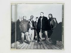 CD DAVE MATTHEWS BAND / EVERYDAY / デイヴ・マシューズ・バンド / エヴリデイ BVCP-21140 R05