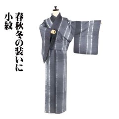 着物と帯 時流】SK26667◇洗える夏着物 小紋◇美品 絽 - メルカリ
