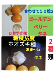 2025年最新】食用ほおずきの人気アイテム - メルカリ