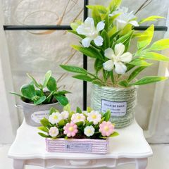 #469 ミニチュア インテリア ＊観葉植物⑨