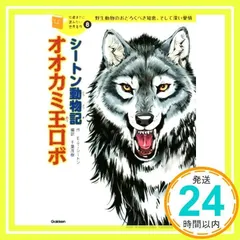 石森章太郎の名作絵どうわ たからじま おおかみ王ロボ