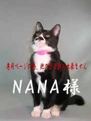 NANA様　専用ページ