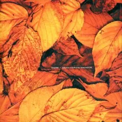 dead leaves 原画集【初版】オマケ付き DEAD LEAVES 原画集 | 百年