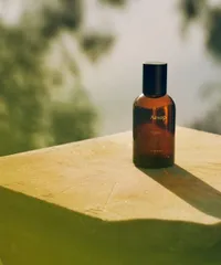 2025年最新】aEsop ヴィレーレの人気アイテム - メルカリ