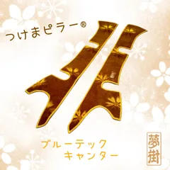 2025年最新】つけまピラーの人気アイテム - メルカリ