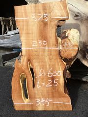 カイズカイブキ　一枚板　無垢材　DIY ウッドプレート