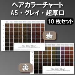 ヘアカラーチャート グレイカラー(白髪染め) A5超厚口両面 10枚セット
